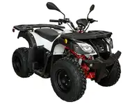 Квадрицикл kayo au150 cvt, фотография 3