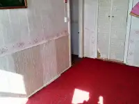 Продаю дачу, район, Летчанский сельсовет, ст Зароновка1, фотография 4