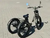 Электровелосипед smartbalance tank trike, фотография 9