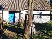 Хутор-усадьба д.Родковичи, для коммерческой деятельности или проживания,, фотография 4