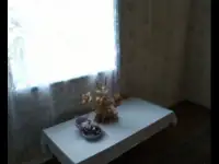 Дом, деревня Самуйловичи Дольные, Песковский сельсовет, Мостовский район, Гродненская, фотография 2