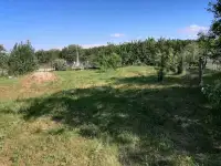 Дачный участок, фотография 5