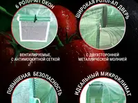 Теплица каркасная росток 3 x 3 x 2 метра, фотография 5