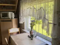 Продажа дачи, обл., Пуховичский р/н , с/с Дричинский, с/т МАРА, фотография 11