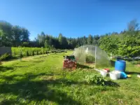 Дом в деревне Заручье, фотография 7