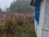 Дача, 210, СТ Березина, Рассветовский сельсовет, район, Гомельская область, фотография 6