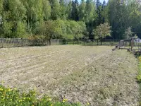 Продается земельный участок с домом в с.т. Палетак Минская обл., Дзержинский р.-н, Негорельский сельсовет, фотография 2