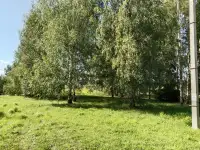 Участок возле Держинска, Полевая, фотография 9