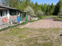 Продаётся дача Демидовичский сельсоветКостюковичский р-нп.Пролетарий, фотография 2