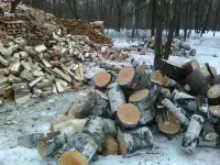 Продам дрова