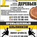 Спилить большое,аварийное,сухое,трудное дерево, фотография 2