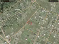 Участок 6.5 сот. Гомельский р-н, д. Чкалова, СТ Глушец, фотография 3
