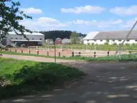Обучение верховой езде, фотография 4