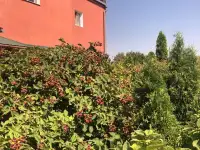 Сдам комнаты посуточно, Берестская область, ул. Баженовой, 3А, фотография 2