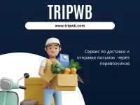 Отправить посылкусэкономить на поездке.