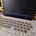 Ноутбук (Нетбук) ASUS Eee PC 1005PE, фотография 2