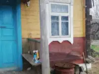 Требуется скосить траву, фотография 6