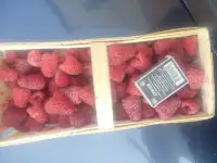 ищу партнера