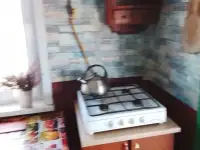 Дом с участком и садом, обл. Стародорожский район, дер. Рабак., фотография 7