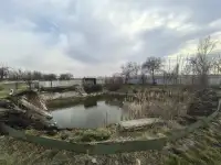 Дом с баней и бассейном., фотография 4