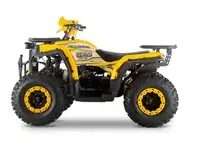 Квадроцикл wels thunder trail 200, фотография 4