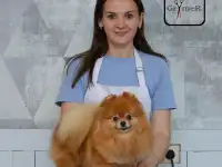 Уход за собаками (грумер), фотография 6