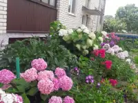 Сдам квартиру п.Марьино, фотография 10