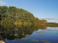 Сдам дом на Браславских озёрах на берегу реки, д. Чернево38 район, фотография 11