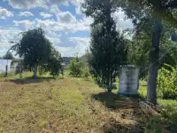 Дом, Кирова ул, 11, деревня Боровцы, Дятловичский сельсовет, район, Брестс, фотография 10