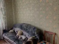 Дом в деревне, фотография 10