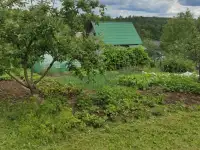 Дачный участок, Минская район.Садовае товарищества Подвески., фотография 2