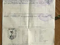 Щенки эстонской гончей, фотография 4