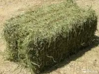 продам сено, фотография 3