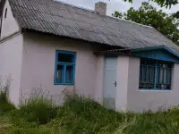 Дом в деревни, Пружанский  район д. Россохи чкалова 13, фотография 1