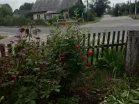 Срочно продам дом в Дятловском р-н д. Засетье, фотография 2