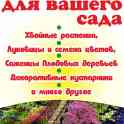 Семена овощей и цветов, саженцы в Витебске