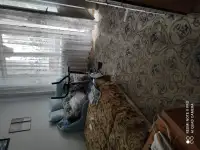 Квартира для вас, Гагарина 15а, фотография 7
