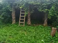 Продам дом, фотография 3