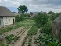 Дом докшицах, Мицкевича 83а, фотография 11