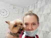 Стрижка собак бесплатно!, фотография 2