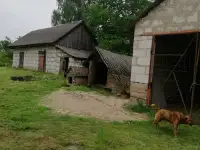 Продажа дачного участка с домом,, фотография 4
