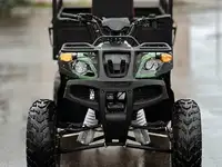 Квадроцикл грузовой atv storm panther, фотография 5