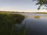 прекрасный участок на берегу озера Городно, Озёрная ул, 13, деревня Городнянский Мох, Новкинский сельсовет, район,, фотография 8