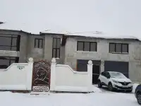 Земельный участок, Гомельская обл., Ветковский р-н, ул. Набережная, 17