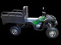 Квадроцикл грузовой atv storm panther