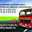 Эвакуатор в Орше Дубровно Толочин Горки трасса м1 м8, фотография 3