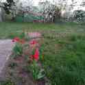Продаю загородный дом.Гродно,Пагараны,энергетик 4, фотография 7