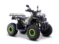 Квадроцикл yacota warrior 200, фотография 2