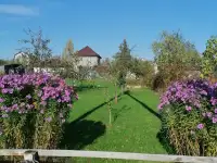 Продается дом и участок 10 соток в ст Аистово Минского района, фотография 6