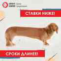 Вам срочно нужны деньги? Мы поможем их найти!